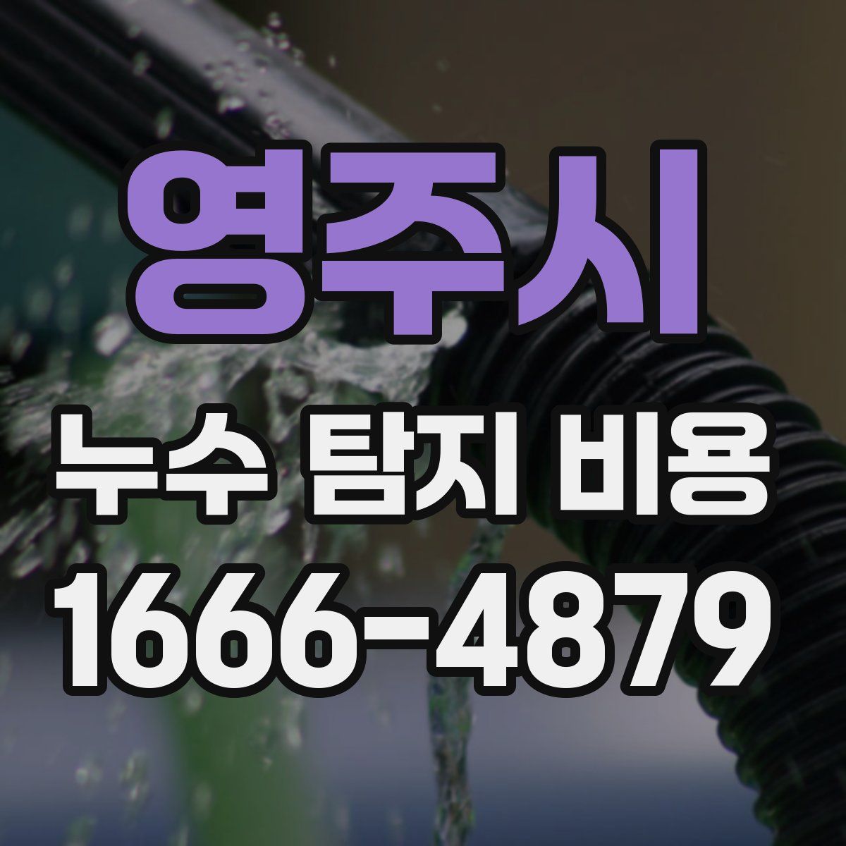 영주시 누수 탐지 비용