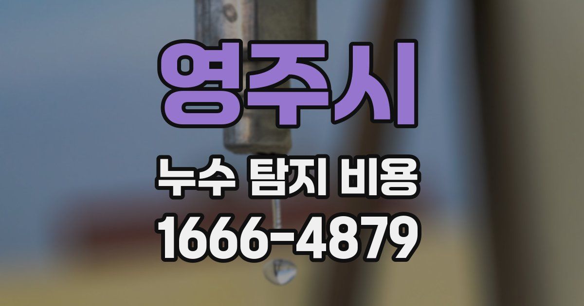 영주시 누수 탐지 비용