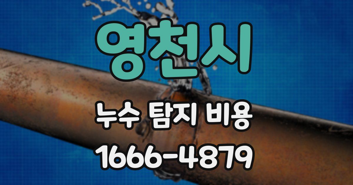 영천시 누수 탐지 비용