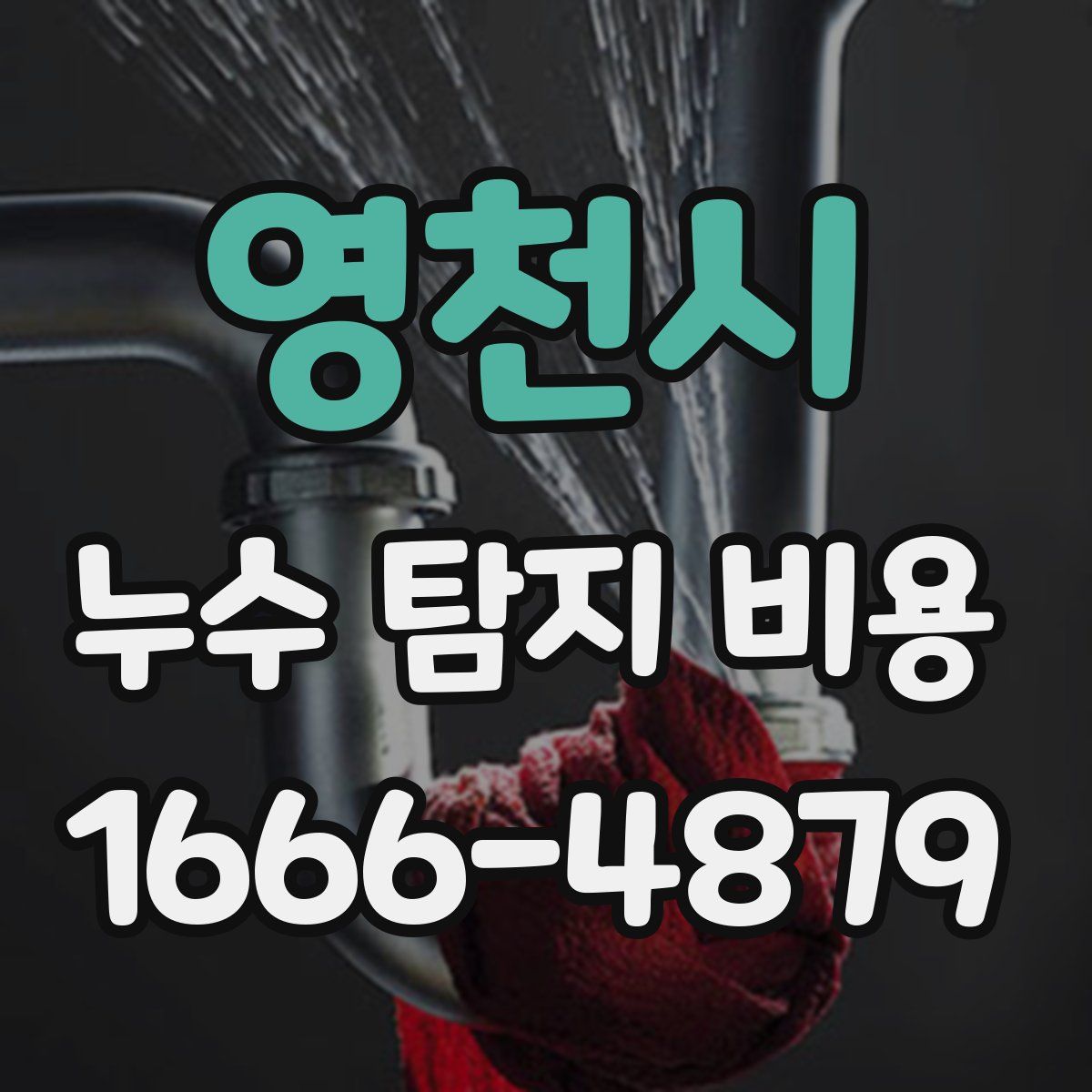 영천시 누수 탐지 비용