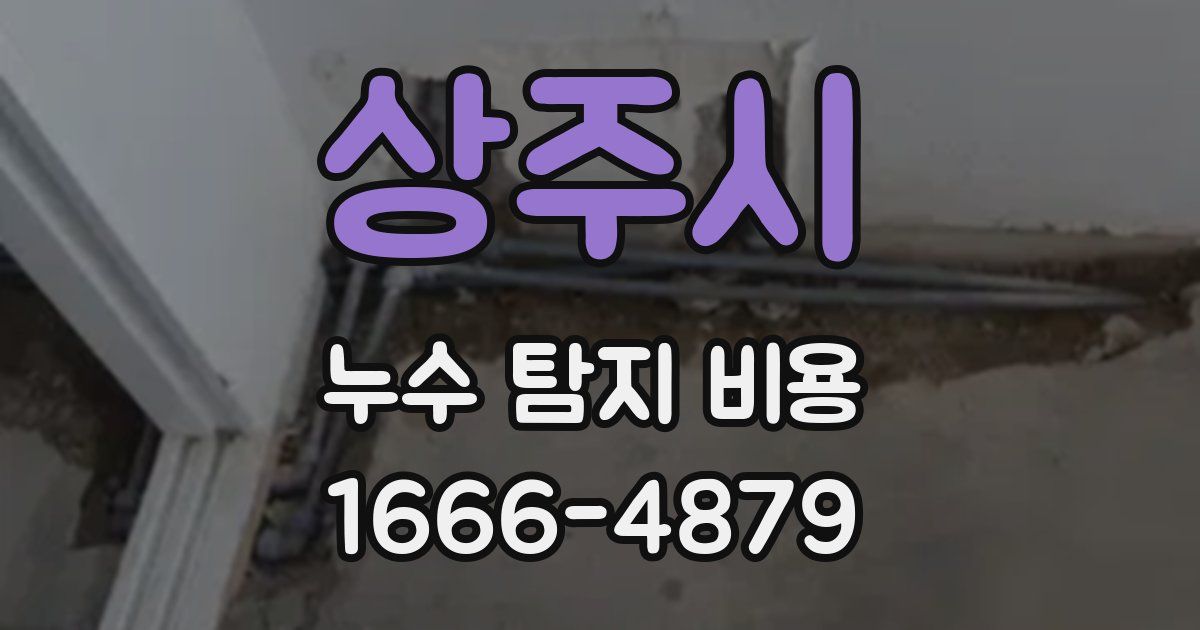 상주시 누수 탐지 비용