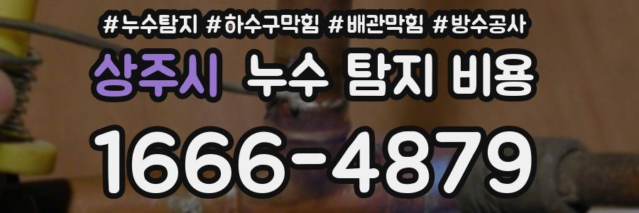 상주시 누수 탐지 비용