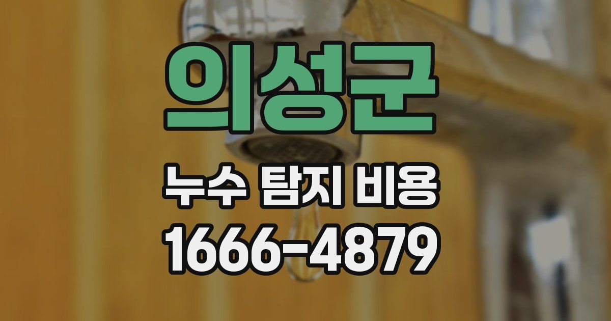 의성군 누수 탐지 비용