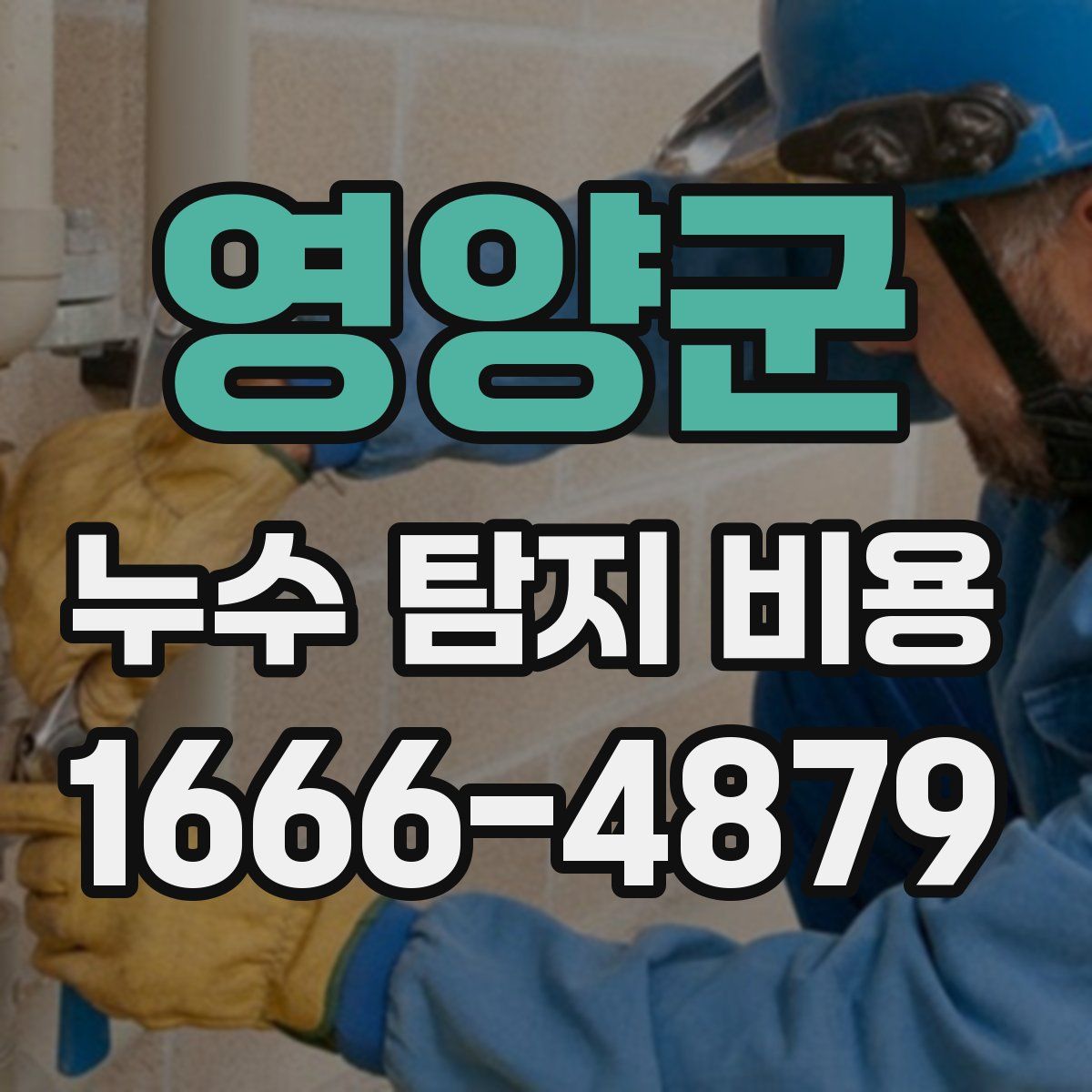 영양군 누수 탐지 비용