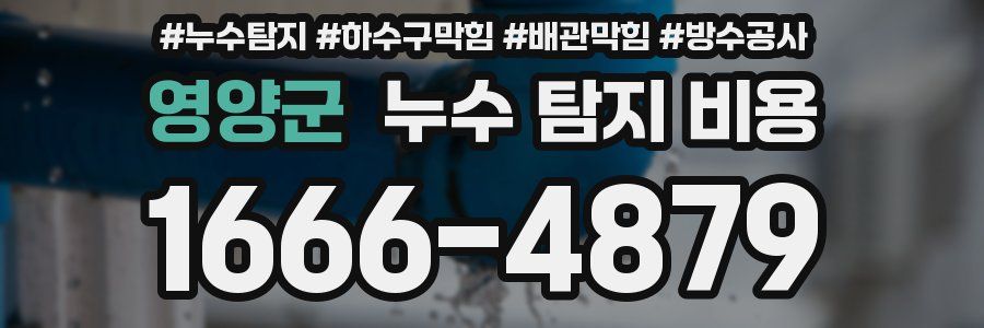 영양군 누수 탐지 비용