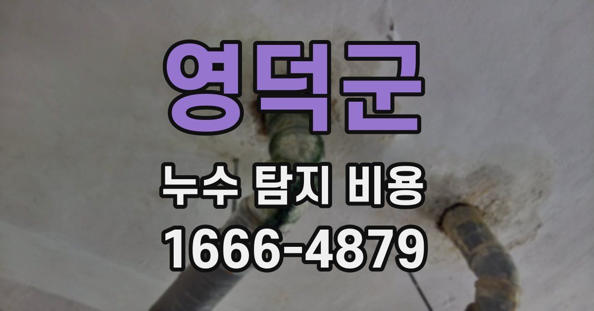영덕군 누수 탐지 비용