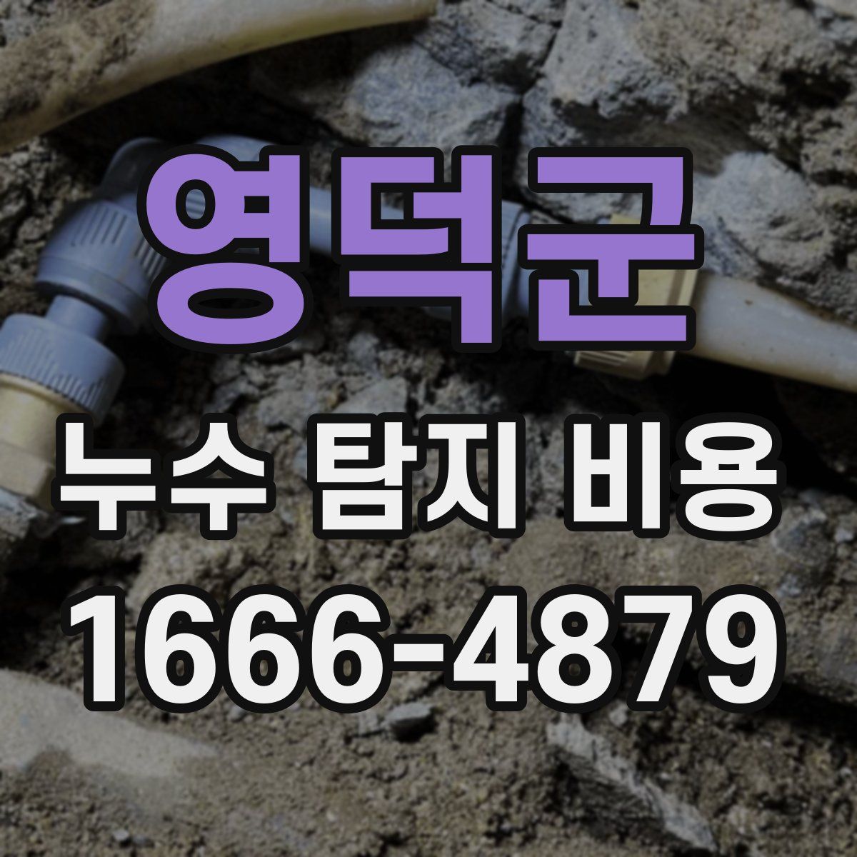 영덕군 누수 탐지 비용