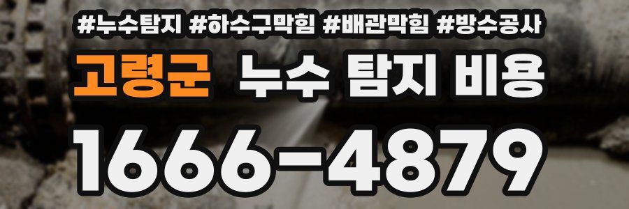 고령군 누수 탐지 비용