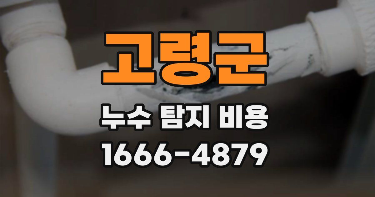 고령군 누수 탐지 비용