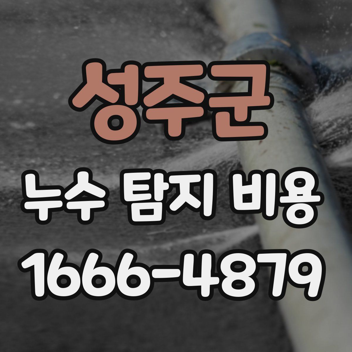성주군 누수 탐지 비용