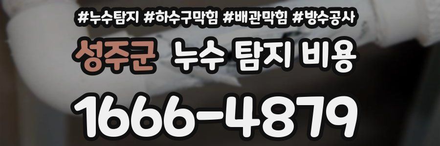 성주군 누수 탐지 비용