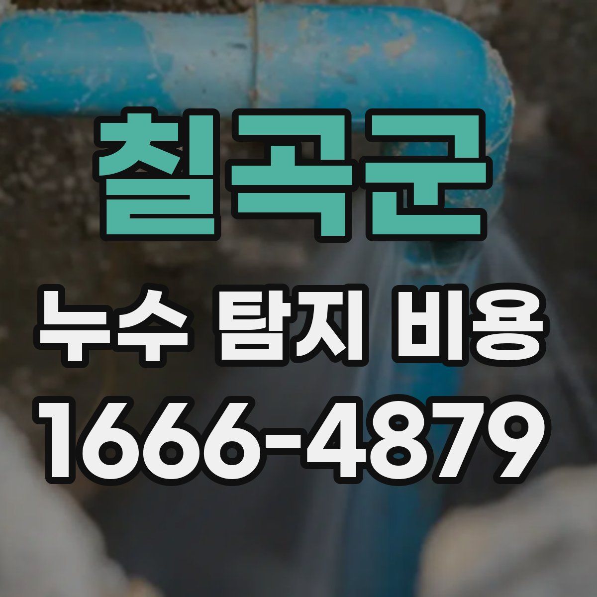 칠곡군 누수 탐지 비용