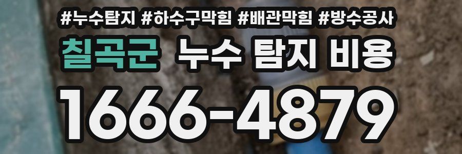 칠곡군 누수 탐지 비용