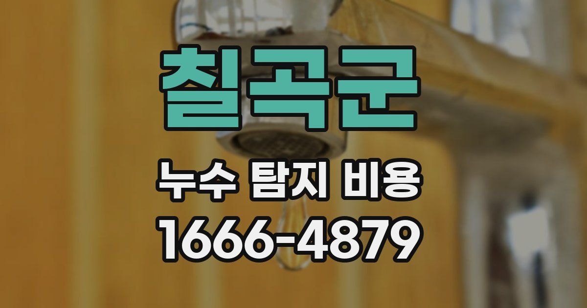 칠곡군 누수 탐지 비용