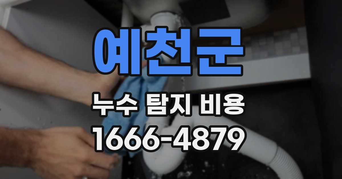 예천군 누수 탐지 비용
