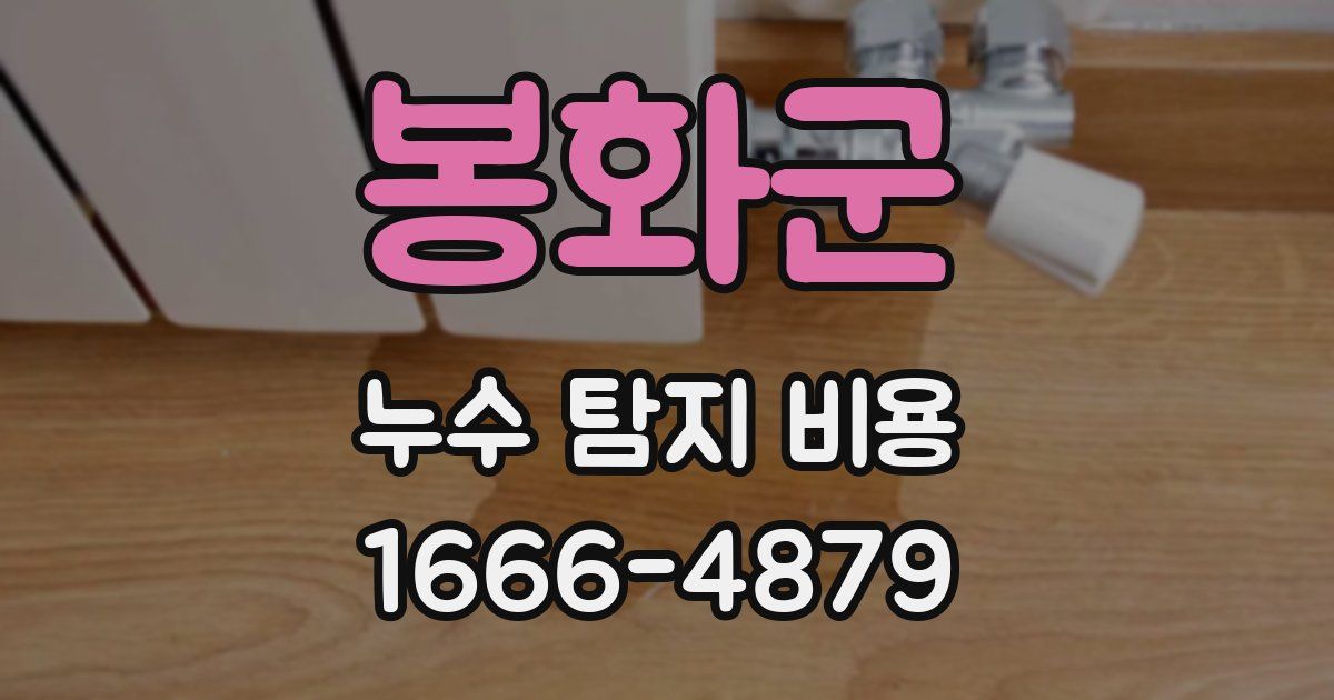 봉화군 누수 탐지 비용