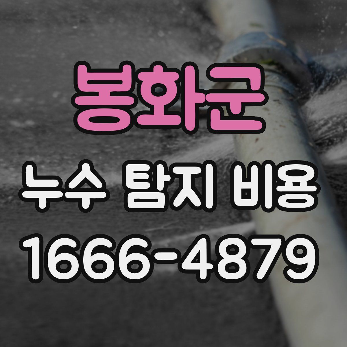 봉화군 누수 탐지 비용