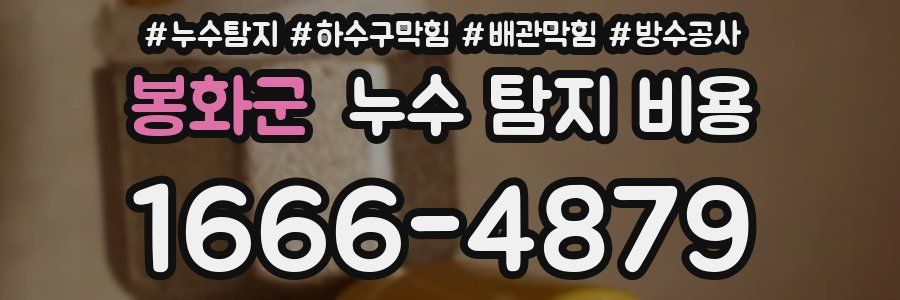 봉화군 누수 탐지 비용
