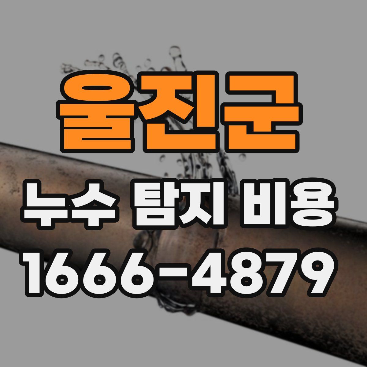 울진군 누수 탐지 비용