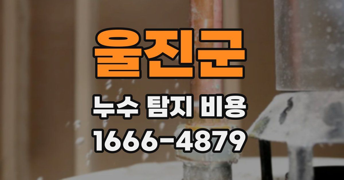 울진군 누수 탐지 비용
