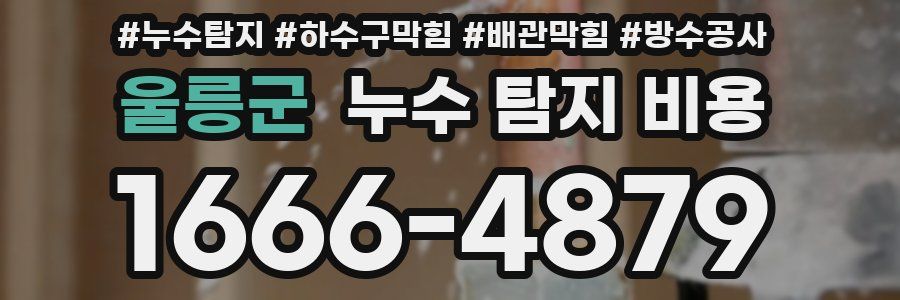 울릉군 누수 탐지 비용