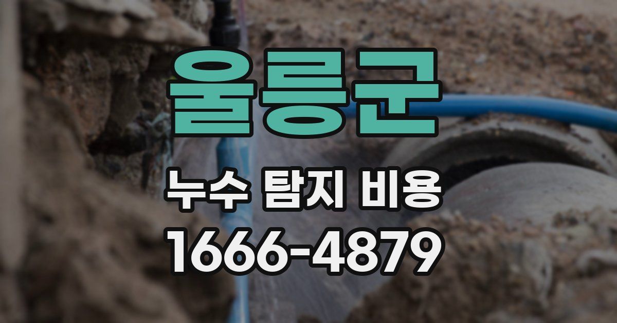 울릉군 누수 탐지 비용