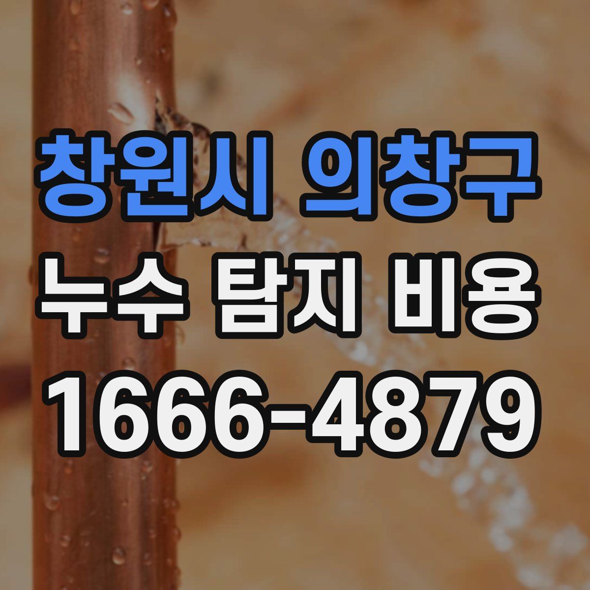 창원시 의창구 누수 탐지 비용