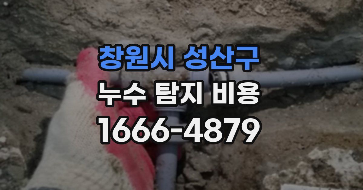 창원시 성산구 누수 탐지 비용