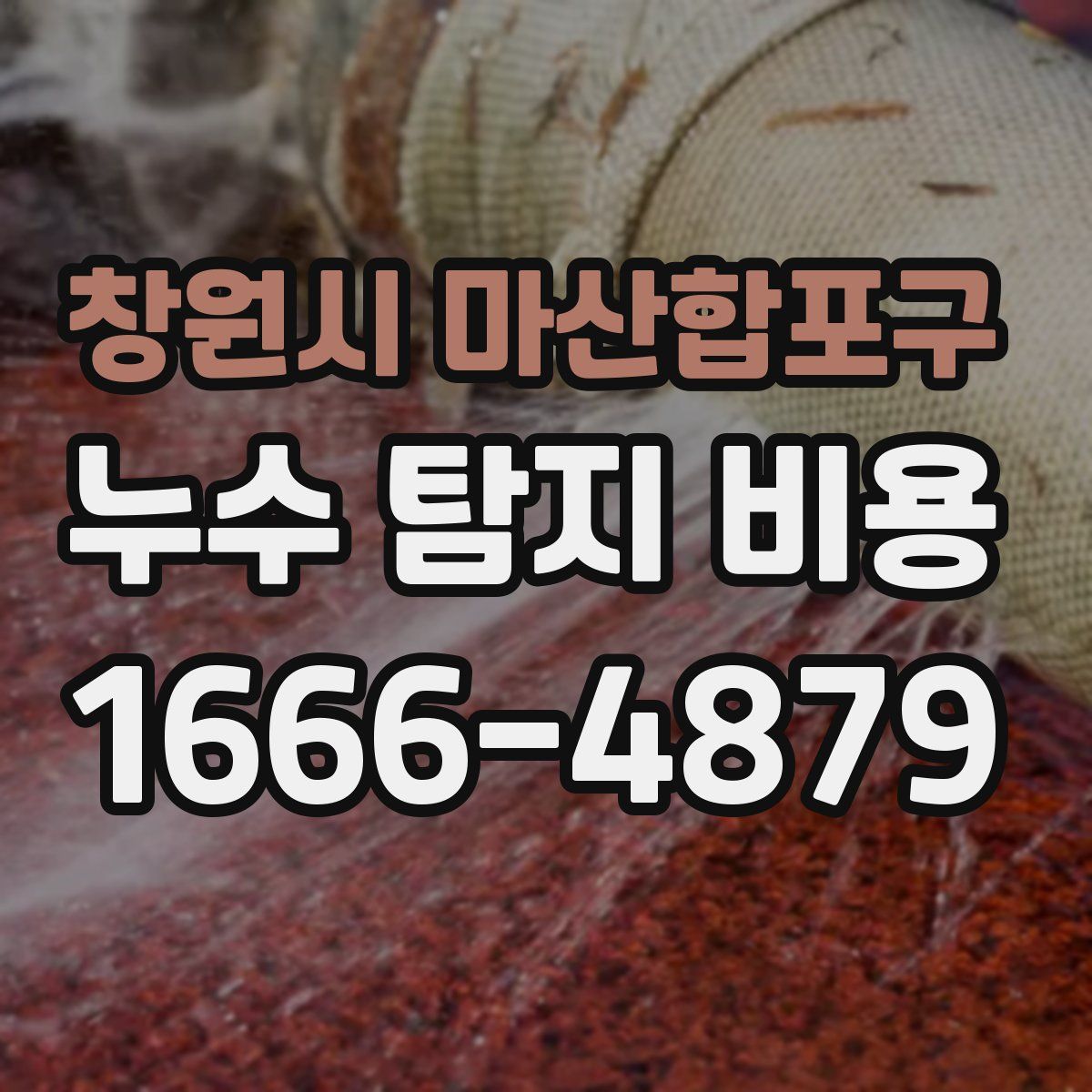 창원시 마산합포구 누수 탐지 비용
