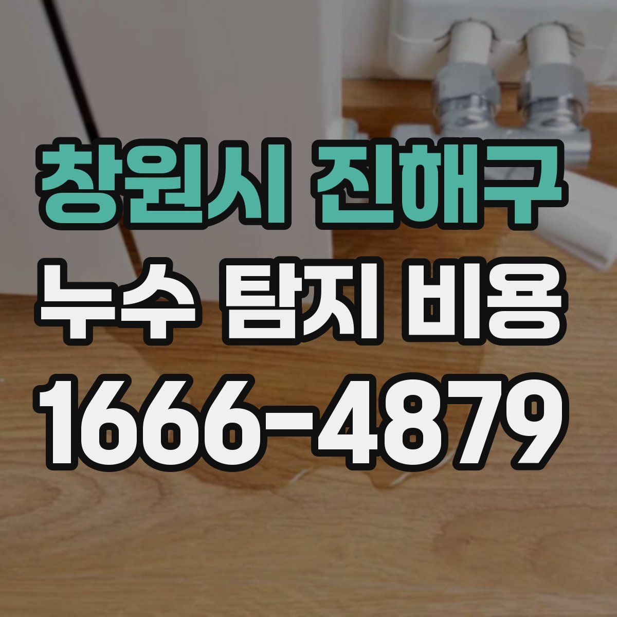 창원시 진해구 누수 탐지 비용