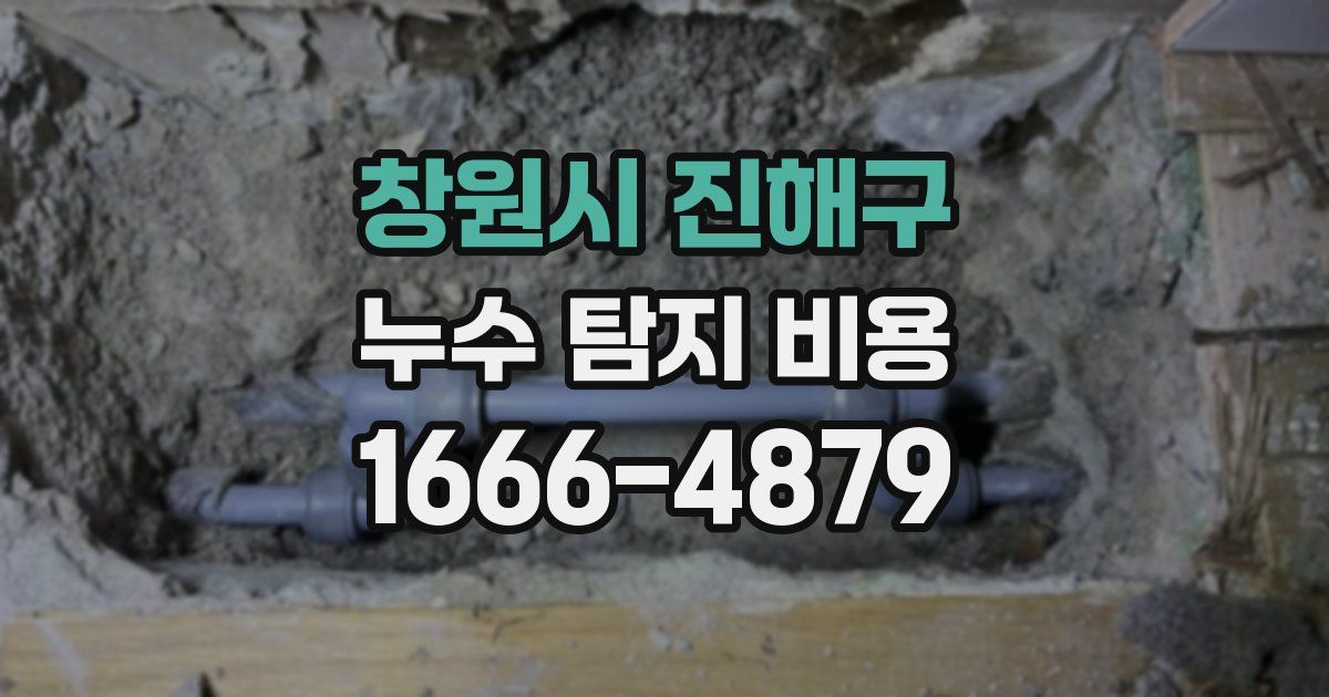 창원시 진해구 누수 탐지 비용