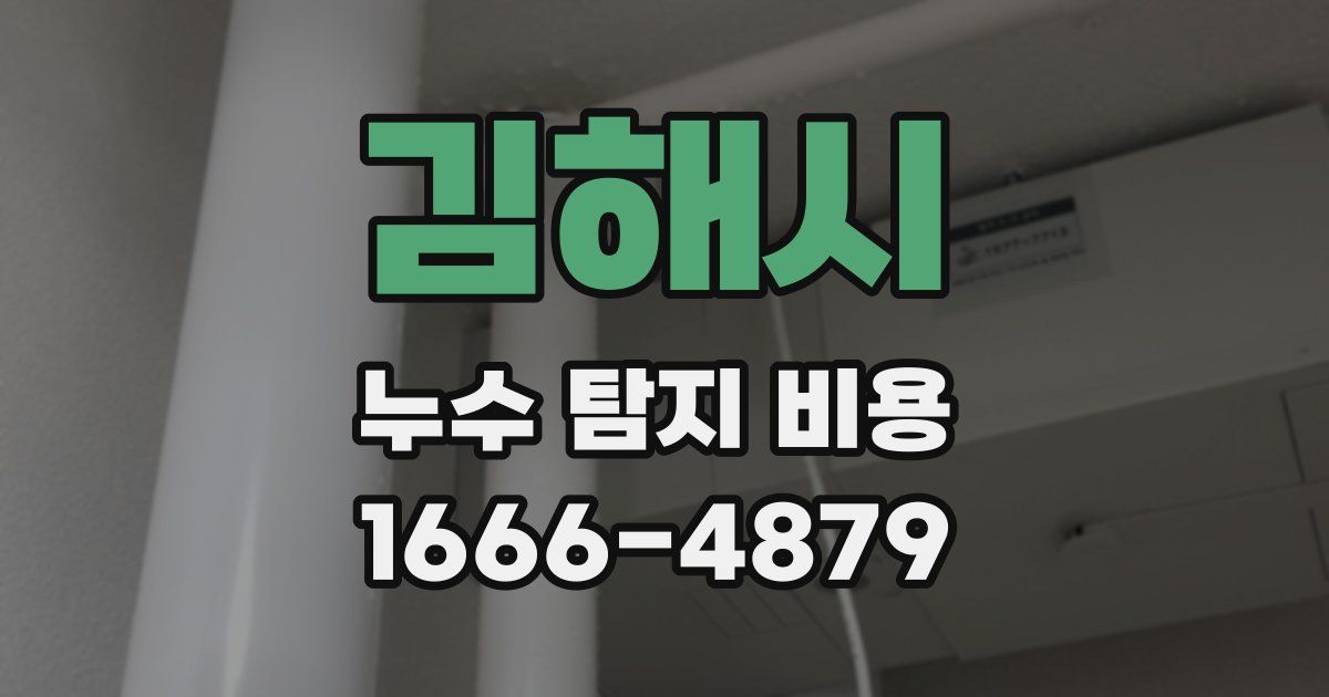 김해시 누수 탐지 비용