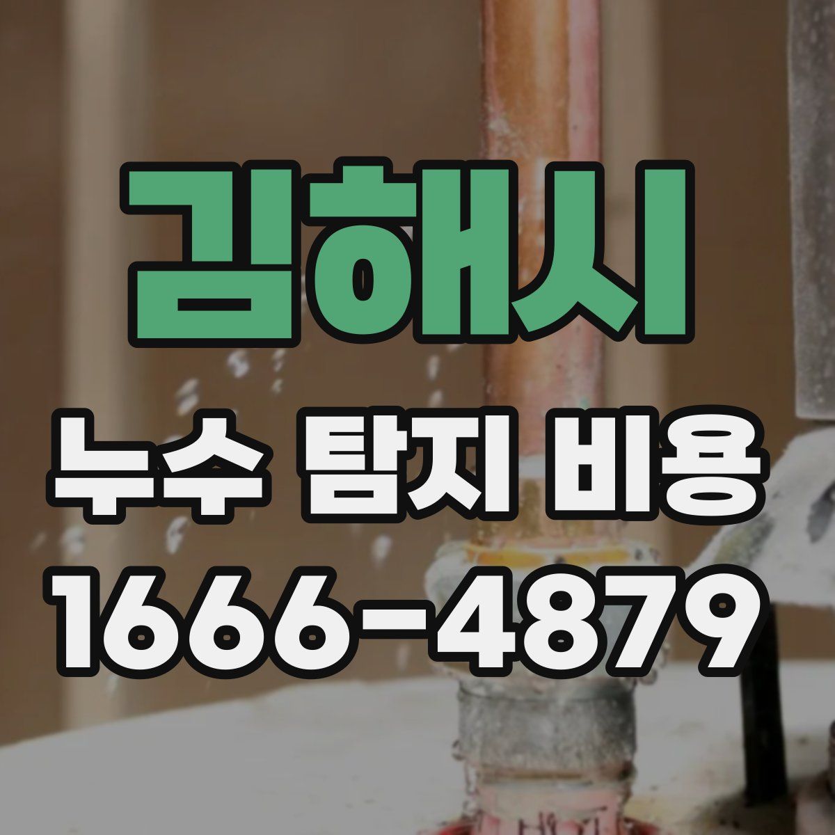 김해시 누수 탐지 비용