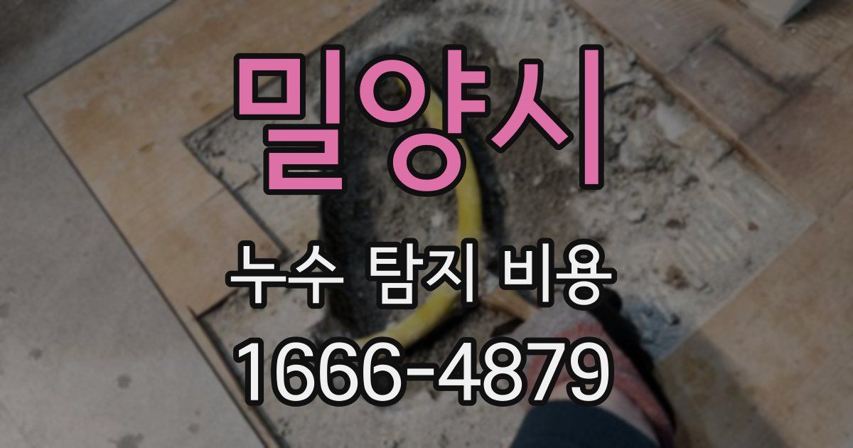 밀양시 누수 탐지 비용