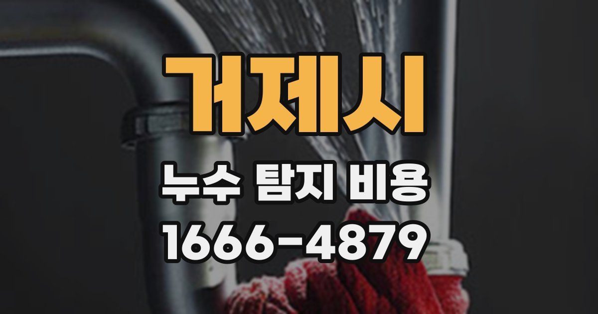 거제시 누수 탐지 비용