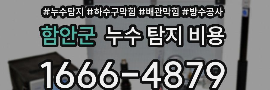 함안군 누수 탐지 비용