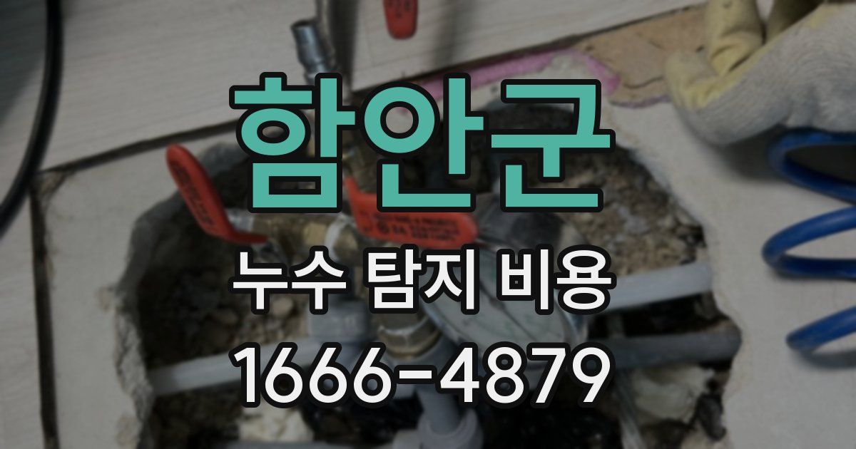 함안군 누수 탐지 비용