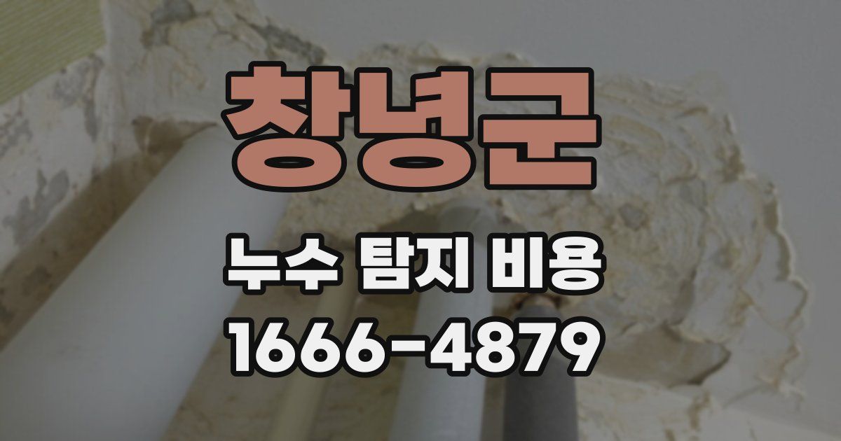 창녕군 누수 탐지 비용