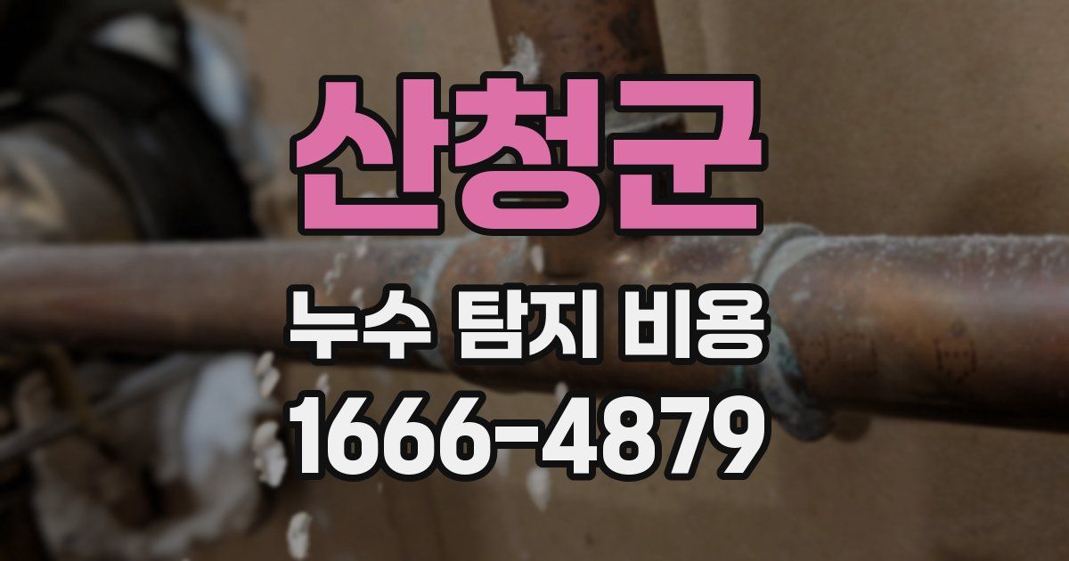 산청군 누수 탐지 비용