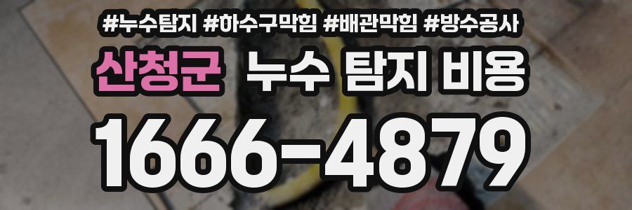 산청군 누수 탐지 비용
