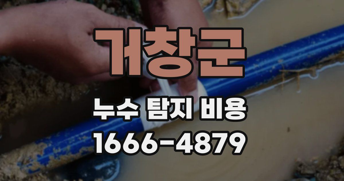 거창군 누수 탐지 비용