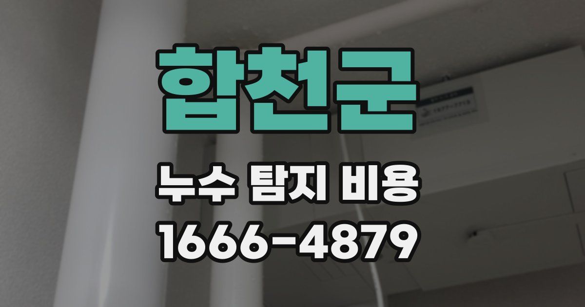 합천군 누수 탐지 비용