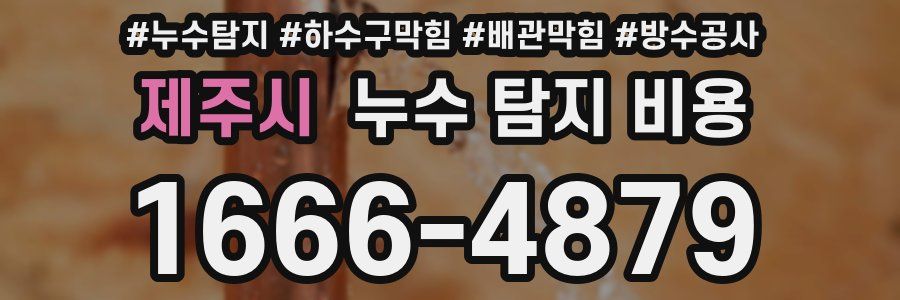제주시 누수 탐지 비용