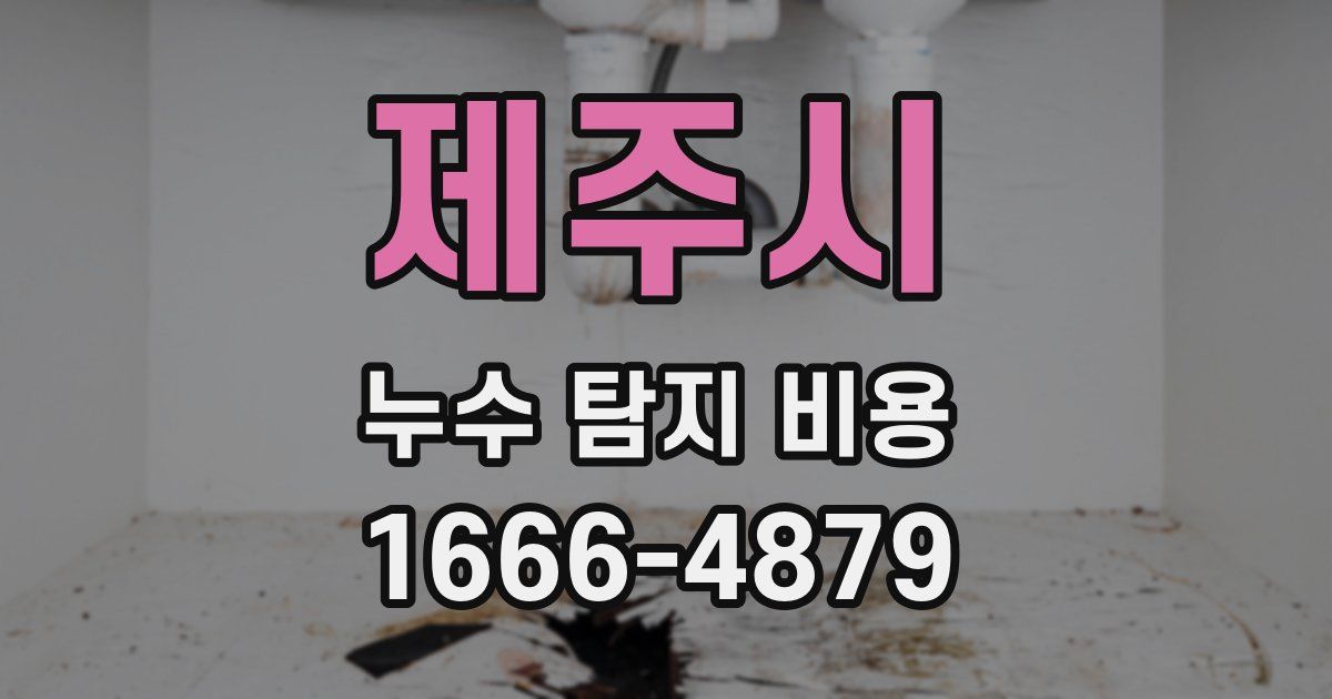 제주시 누수 탐지 비용