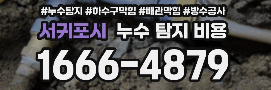 서귀포시 누수 탐지 비용