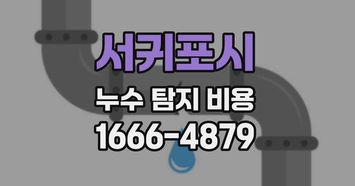 서귀포시 누수 탐지 비용