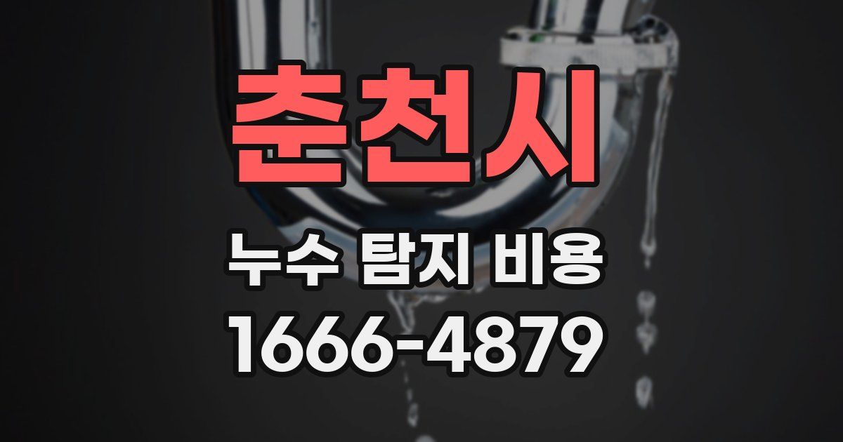 춘천시 누수 탐지 비용