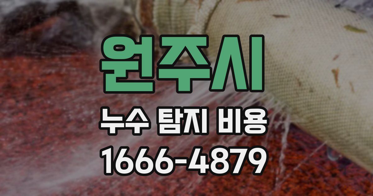 원주시 누수 탐지 비용