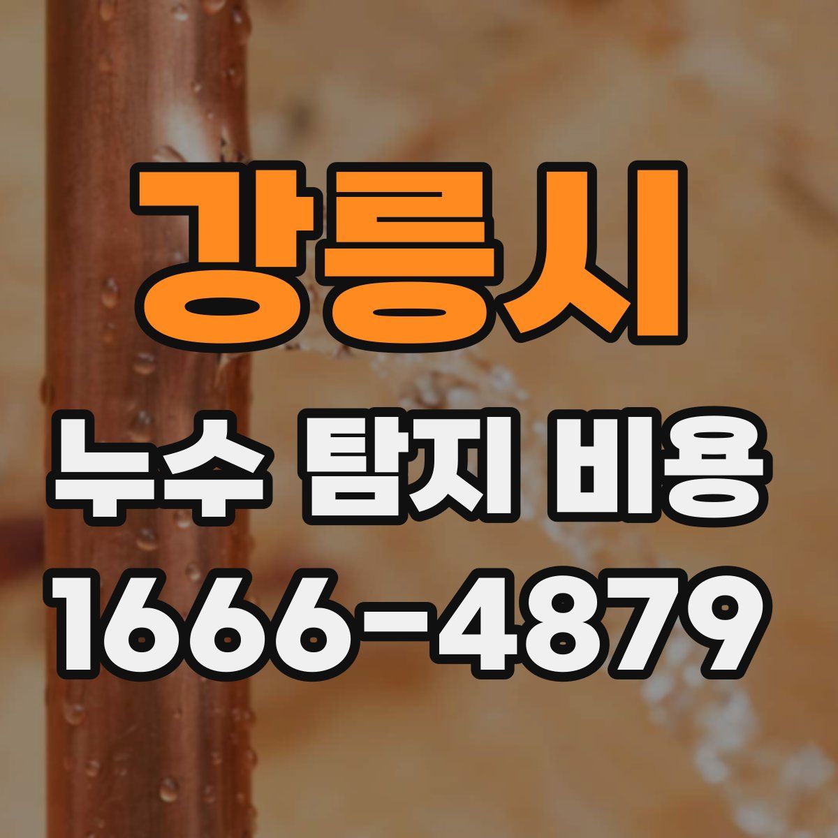 강릉시 누수 탐지 비용