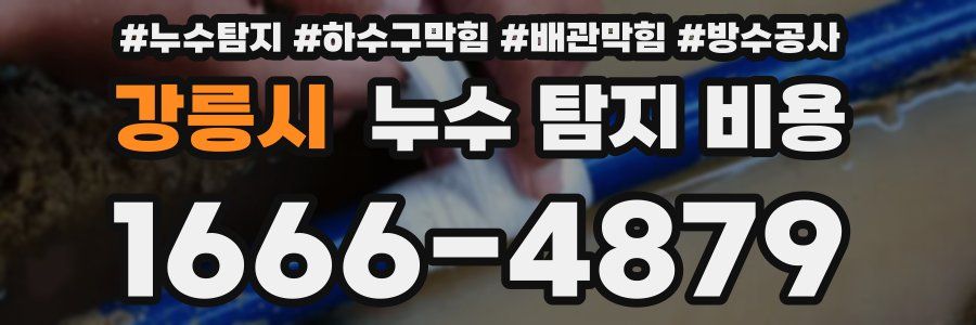 강릉시 누수 탐지 비용